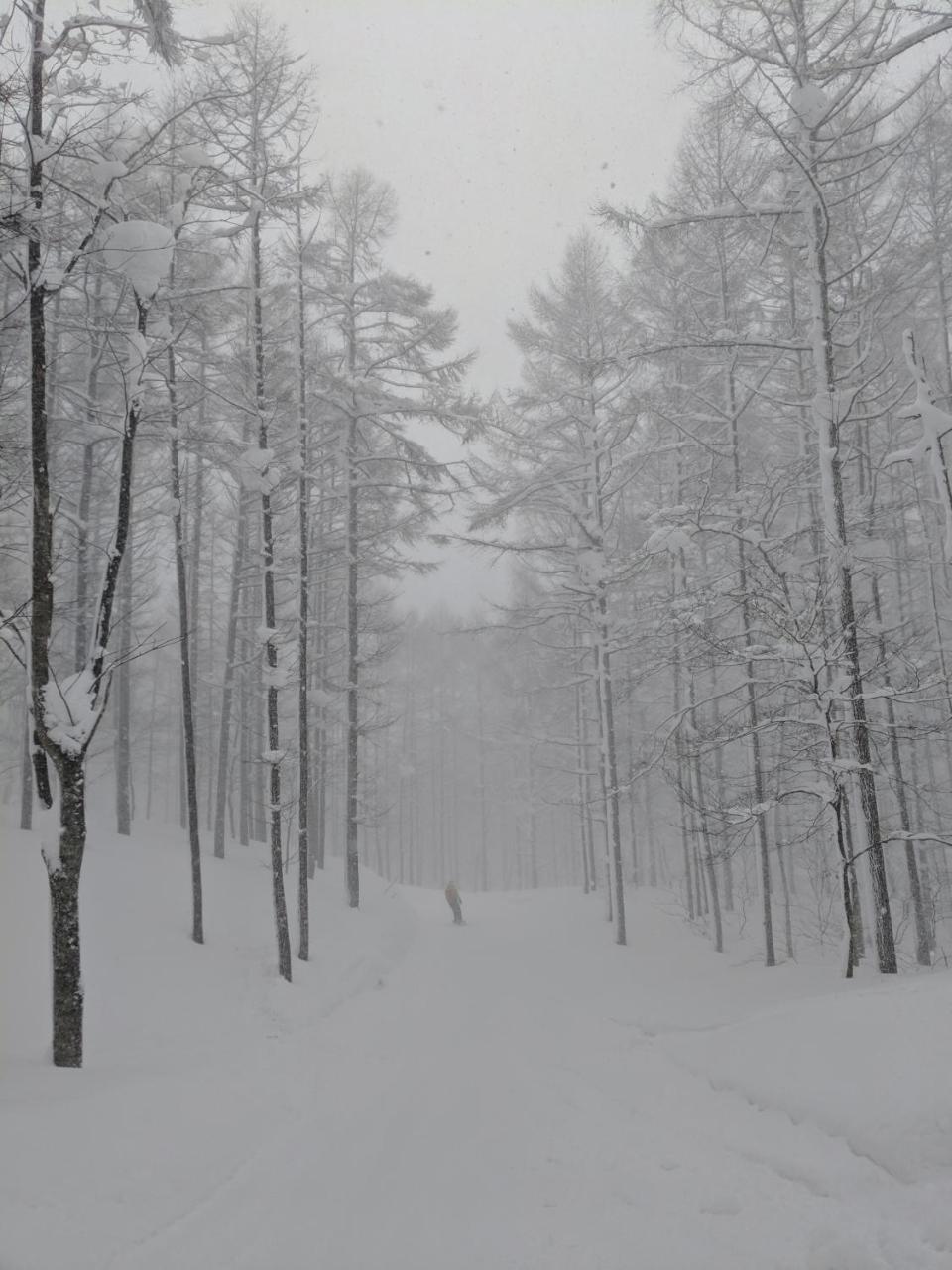 Raicho Lodge Madarao Iiyama Dış mekan fotoğraf